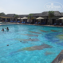 фото из отзыва ID 1306829