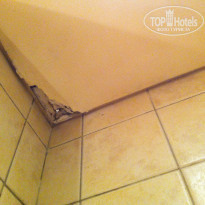 фото из отзыва ID 1306845