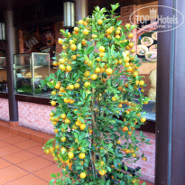 фото из отзыва ID 1306810