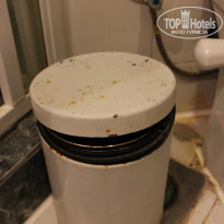 фото из отзыва ID 1306934