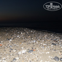 фото из отзыва ID 1307027