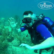 фото из отзыва ID 1303223