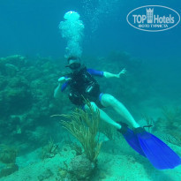 фото из отзыва ID 1303223