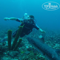 фото из отзыва ID 1303223