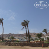 фото из отзыва ID 1307111