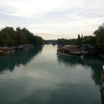 фото из отзыва ID 1301605