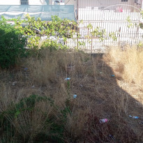 фото из отзыва ID 1307215