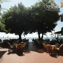 фото из отзыва ID 1303667