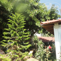 фото из отзыва ID 1303667