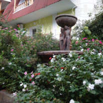 фото из отзыва ID 1307695