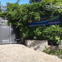 фото из отзыва ID 1307695