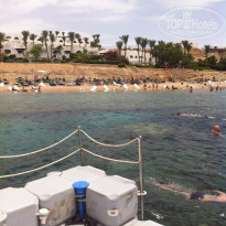 фото из отзыва ID 1307710