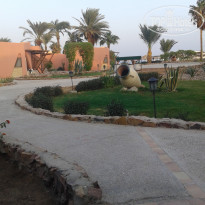 фото из отзыва ID 1307796