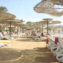 фото из отзыва ID 1307878