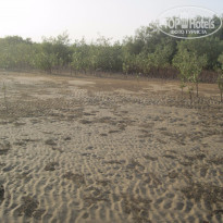 фото из отзыва ID 1307892