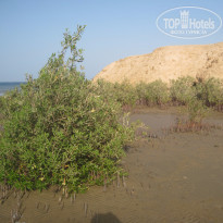 фото из отзыва ID 1307892