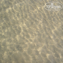 фото из отзыва ID 1307892