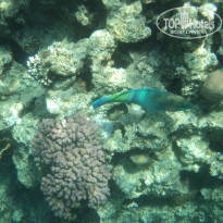 фото из отзыва ID 1307907