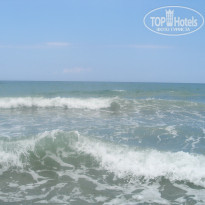 фото из отзыва ID 1307999