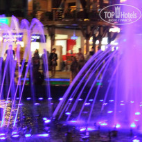 фото из отзыва ID 1308041