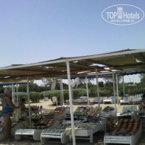 фото из отзыва ID 1308084