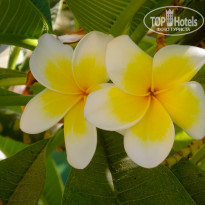 фото из отзыва ID 1307945