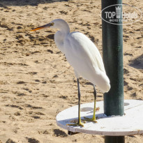 фото из отзыва ID 1307945