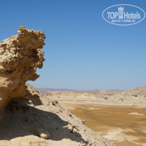 фото из отзыва ID 1307945