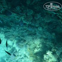 фото из отзыва ID 1308193