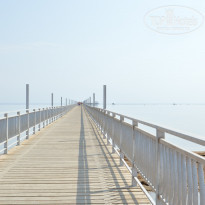 фото из отзыва ID 1308193