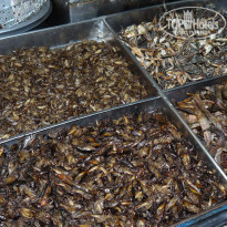 фото из отзыва ID 1308464