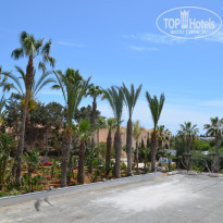 фото из отзыва ID 1308521