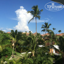 фото из отзыва ID 1308546