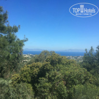 фото из отзыва ID 1308734