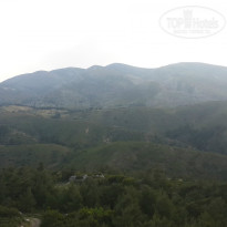 фото из отзыва ID 1308734