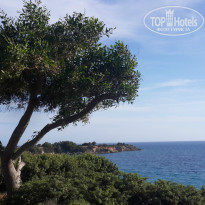 фото из отзыва ID 1308734