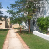 фото из отзыва ID 1308808