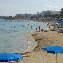 фото из отзыва ID 1308852