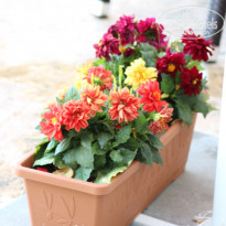 фото из отзыва ID 1309202