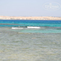 фото из отзыва ID 1309199