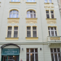 фото из отзыва ID 1308841