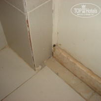 фото из отзыва ID 1309254