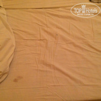 фото из отзыва ID 1309281