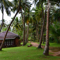 фото из отзыва ID 1309468