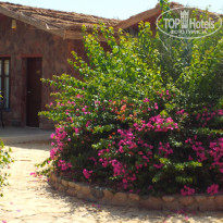 фото из отзыва ID 1309552