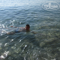 фото из отзыва ID 1309663