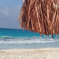 фото из отзыва ID 1309779