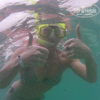 фото из отзыва ID 1309779