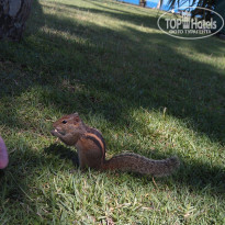 фото из отзыва ID 1309828