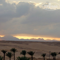 фото из отзыва ID 1309691